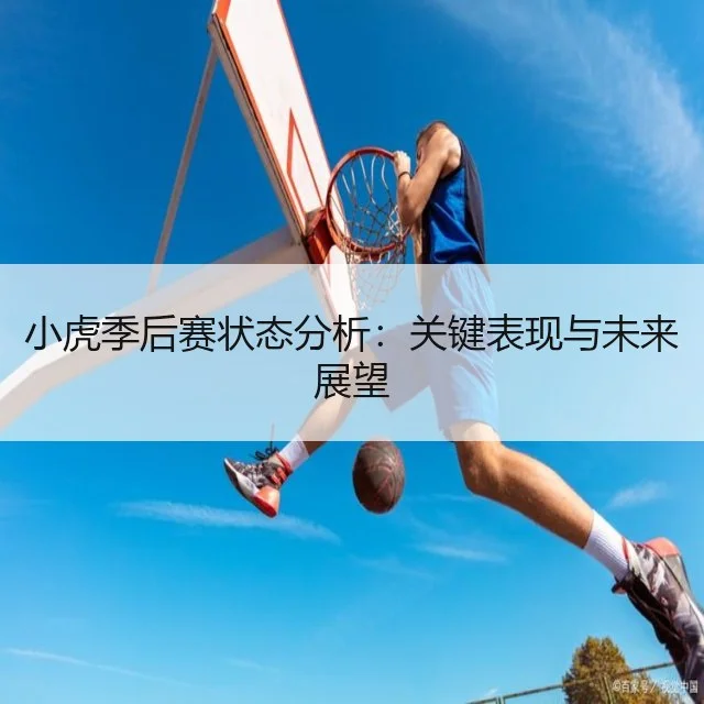 小虎季后赛状态分析：关键表现与未来展望