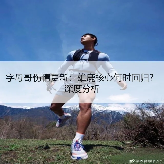 字母哥伤情更新：雄鹿核心何时回归？深度分析